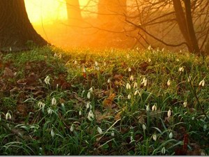 Открытие Сварги — закликание Весны