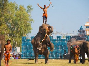 Шествие слонов
