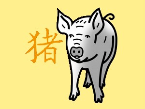 Pig